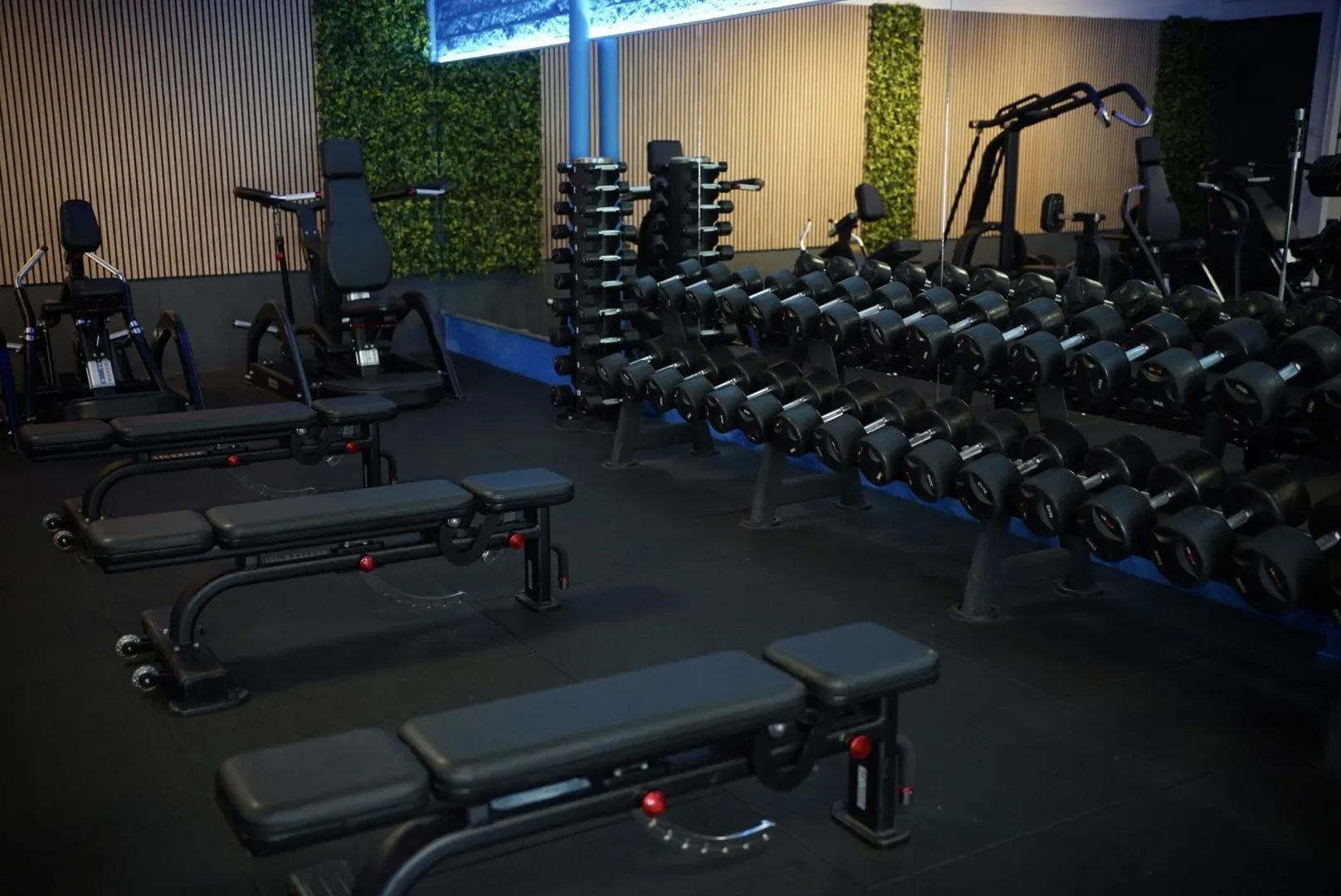 Vrije gewichten en dumbbells bij UltraGym