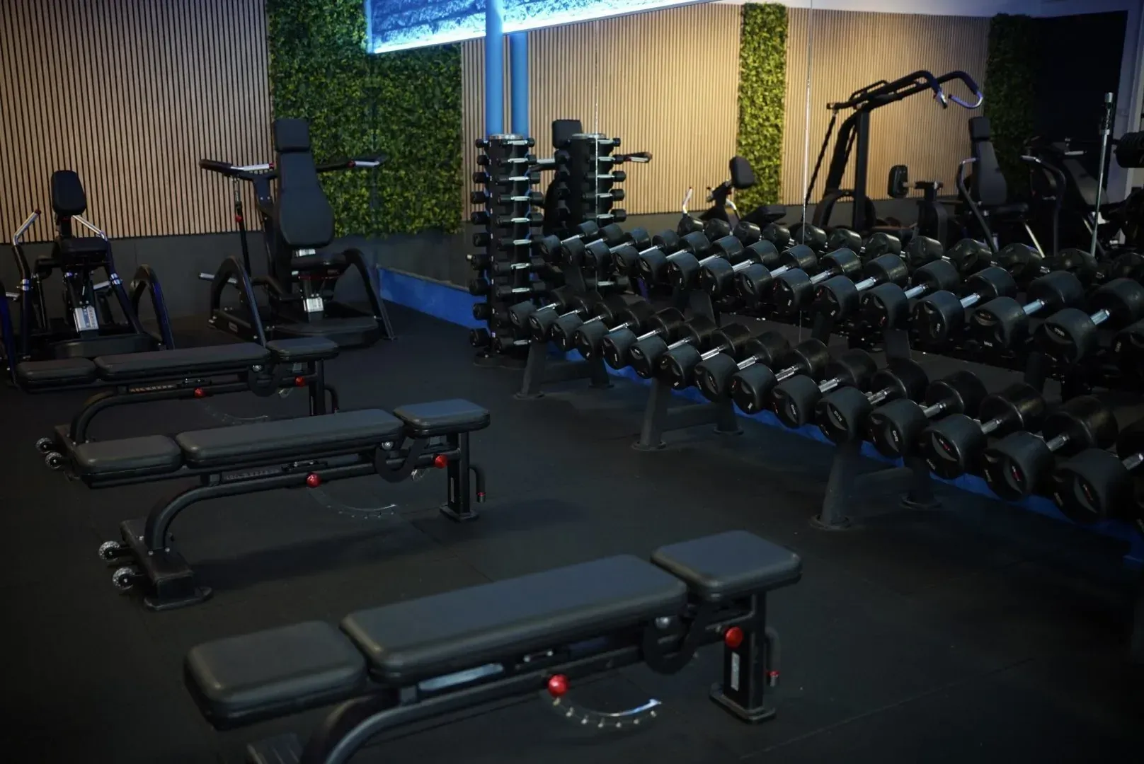 Het dumbbellrek met trainingsbanken